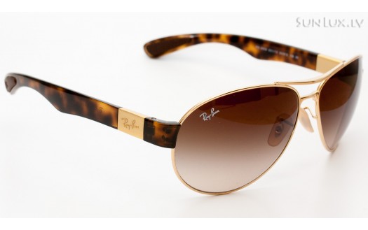 Ray-Ban Active Lifestyle Aviator (RB3509 001/13 63mm) saules brilles